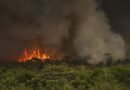 Brasil tem 22,38 milhões de hectares atingidos pelo fogo em nove meses