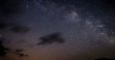 Chuva de meteoros Leonidas atinge pico no fim de semana; saiba como observar