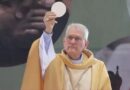 Saiba quem são os sete cardeais brasileiros aptos a eleger o novo papa