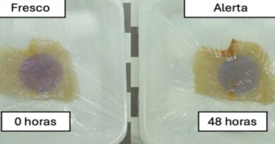 Embalagem inteligente muda de cor para avisar que peixe estragou