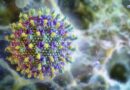Vírus Nipah é monitorado pela ciência, mas risco para o Brasil é considerado baixo