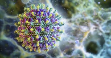 Vírus Nipah é monitorado pela ciência, mas risco para o Brasil é considerado baixo