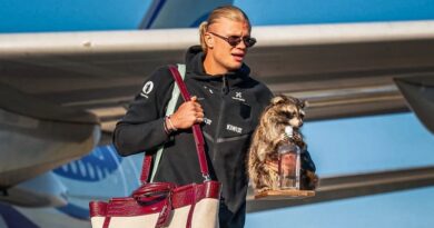 Guaxinim de Haaland: o que é taxidermia, técnica usada em animal do jogador