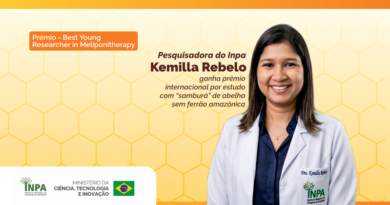 Pesquisadora do Inpa ganha prêmio internacional por estudo com “samburá” de abelha amazônica sem ferrão