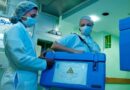 Setembro Verde: idosos também podem ser doadores vivos de órgãos