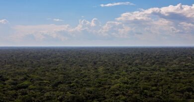 Estudo mapeia áreas prioritárias para efetivação do Código Florestal