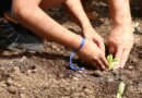 Entidades pedem apoio de candidatos em defesa da agroecologia