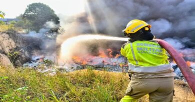 Governo Federal anuncia envio de 290 profissionais e seis aeronaves para combater queimadas no Amazonas Governo Federal anuncia envio de 290 profissionais e seis aeronaves para combater queimadas no Amazonas