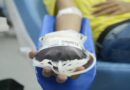 Portaria libera doação de sangue de pessoas com mais de 70 anos