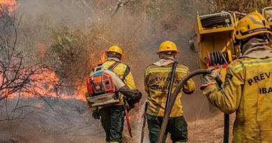 Amazonas recebe aeronaves para combater queimadas
